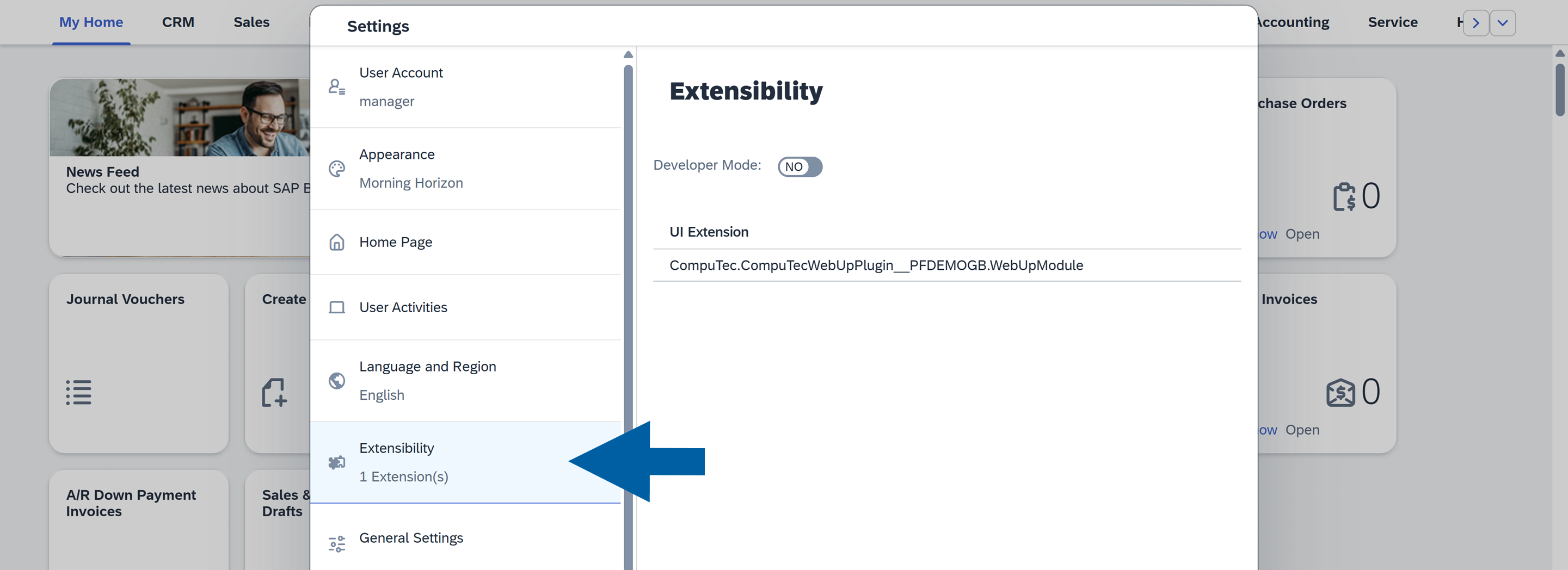 SAP Web Client settings page with Extensibility tab selected and developer options visible
